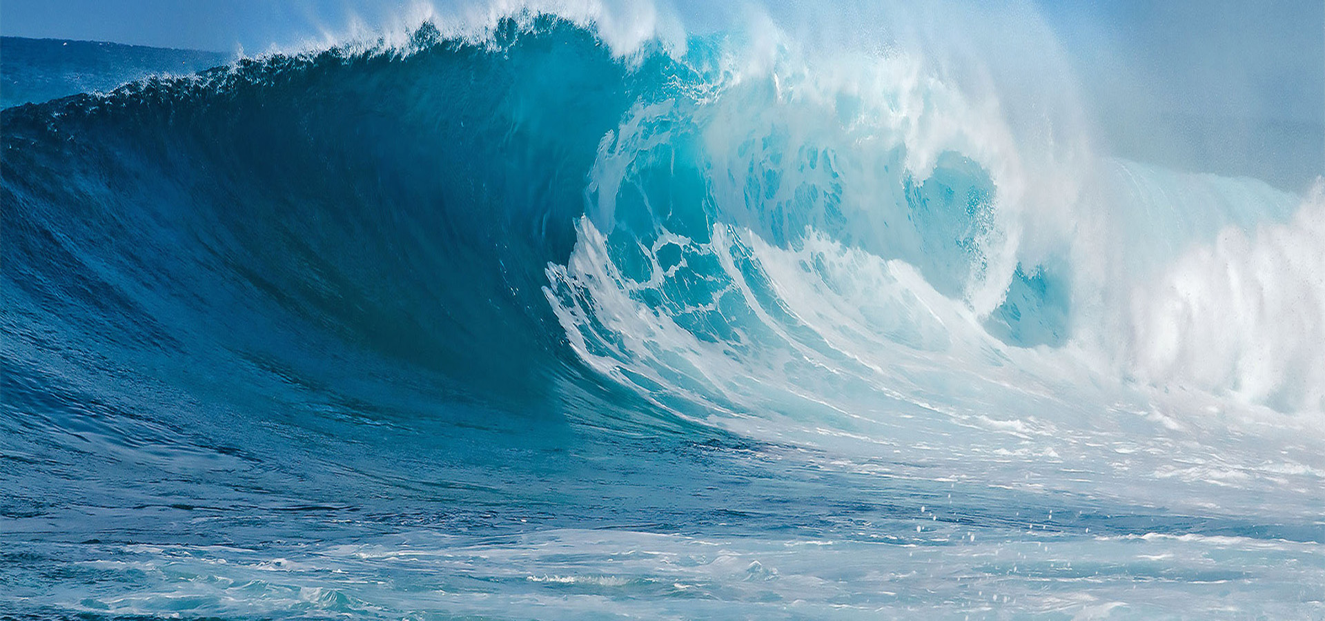 元含万象、万象大发welcome